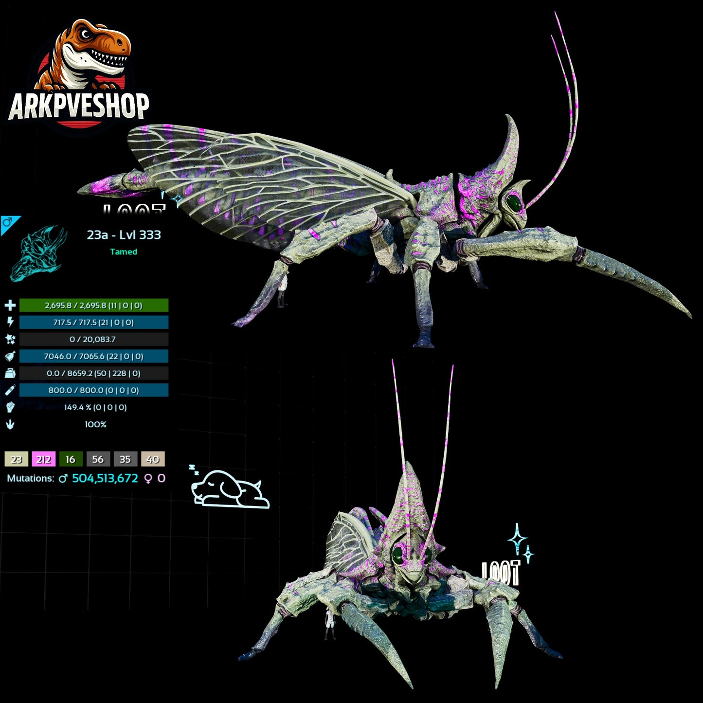 Rhyniognatha Rhynio High&Low Lvls