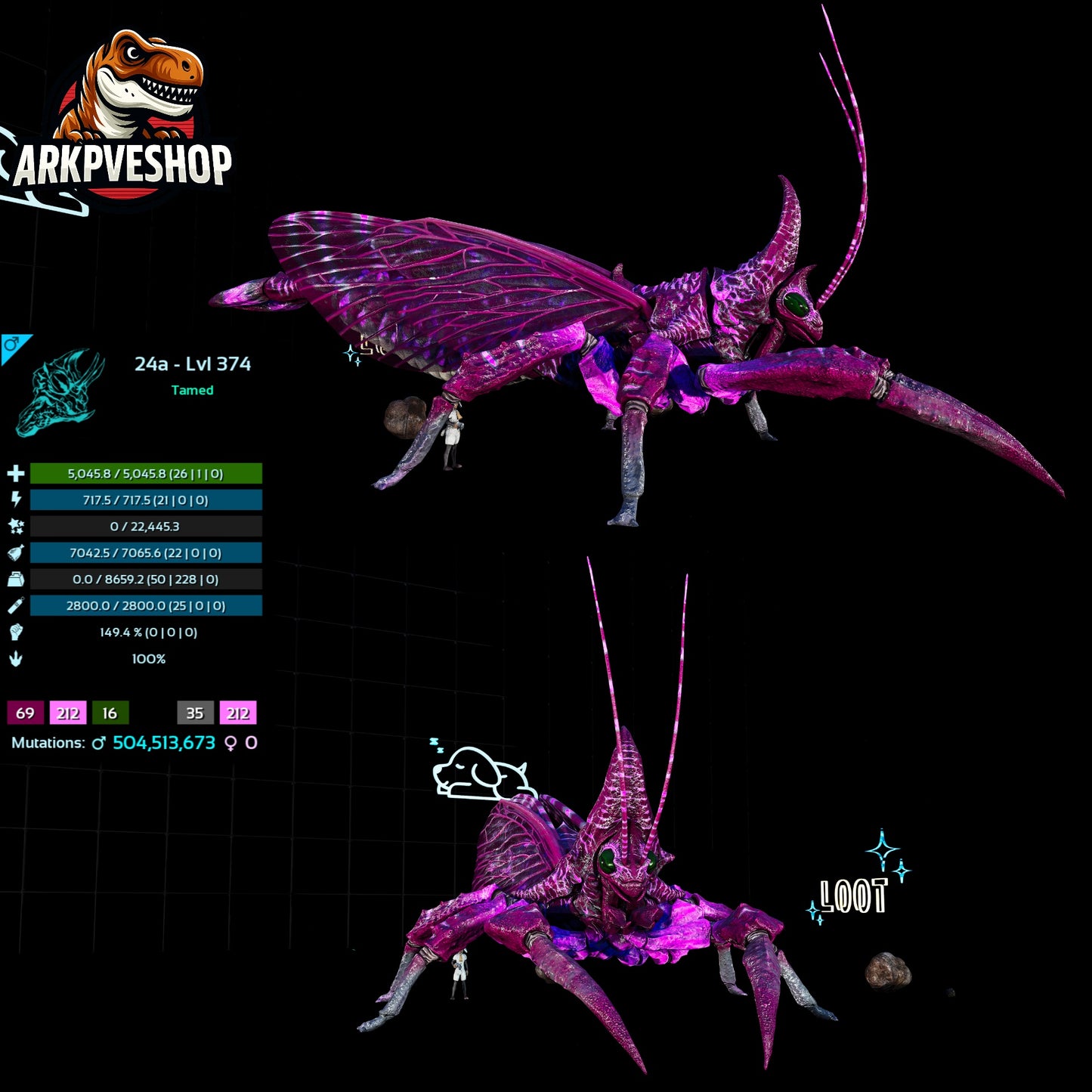 Rhyniognatha Rhynio High&Low Lvls