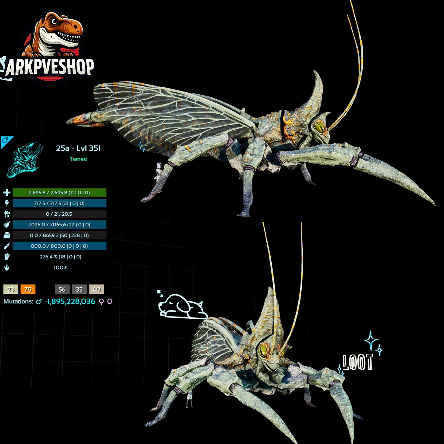 Rhyniognatha Rhynio High&Low Lvls