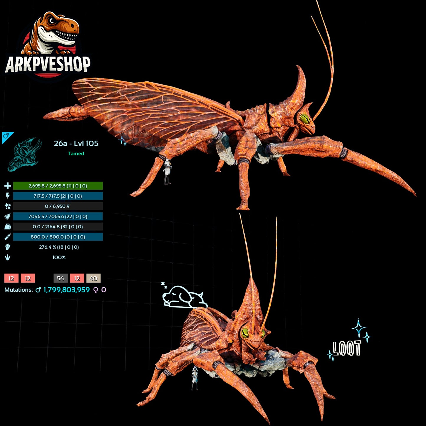 Rhyniognatha Rhynio High&Low Lvls