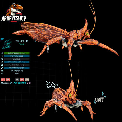 Rhyniognatha Rhynio High&Low Lvls