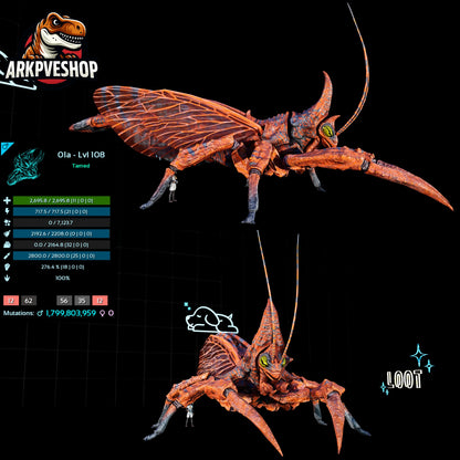 Rhyniognatha Rhynio High&Low Lvls