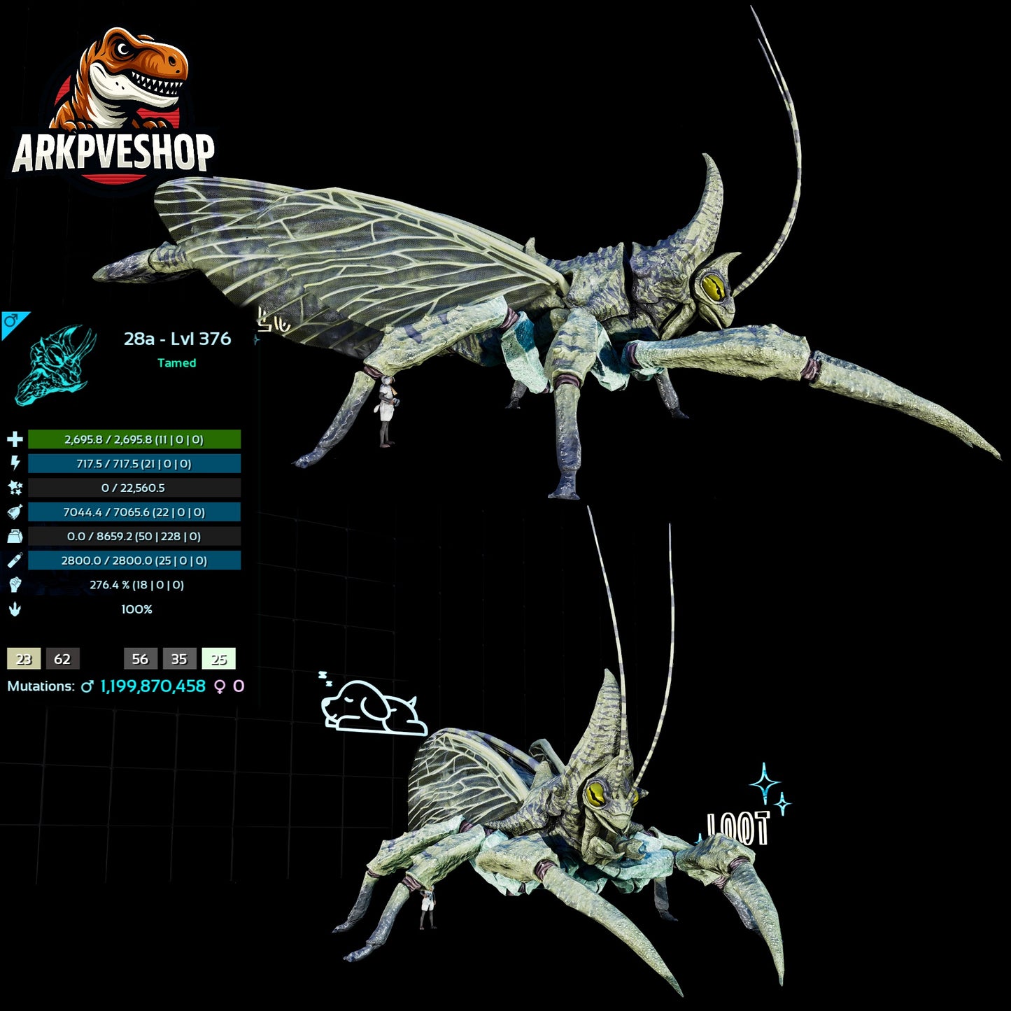 Rhyniognatha Rhynio High&Low Lvls