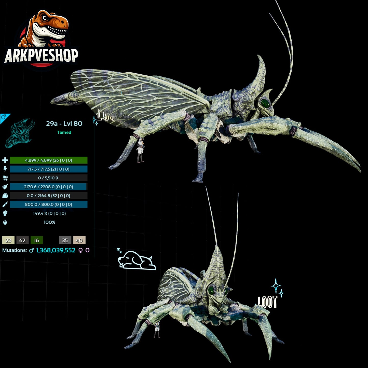 Rhyniognatha Rhynio High&Low Lvls