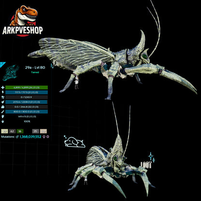 Rhyniognatha Rhynio High&Low Lvls