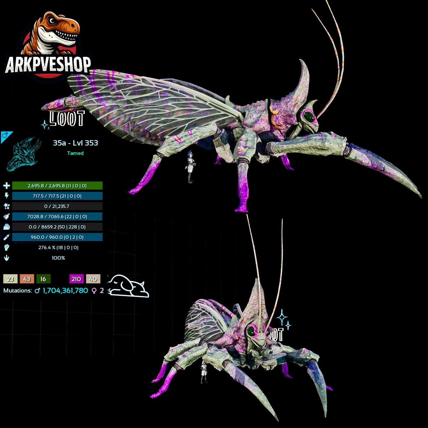 Rhyniognatha Rhynio High&Low Lvls