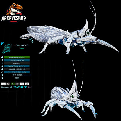 Rhyniognatha Rhynio High&Low Lvls
