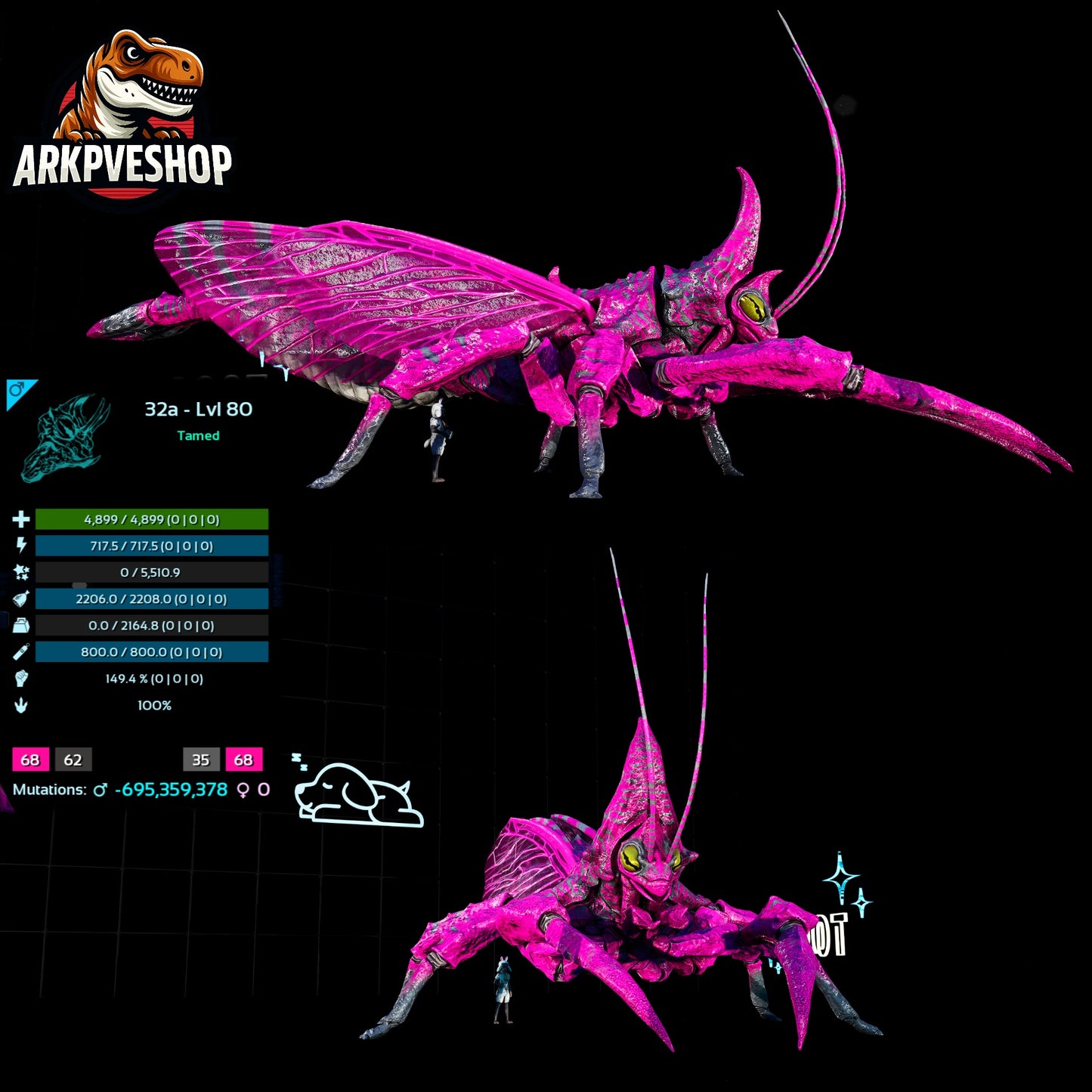 Rhyniognatha Rhynio High&Low Lvls