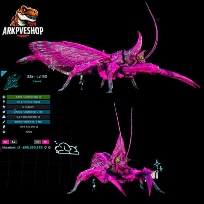 Rhyniognatha Rhynio High&Low Lvls