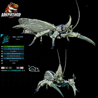 Rhyniognatha Rhynio High&Low Lvls