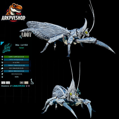 Rhyniognatha Rhynio High&Low Lvls