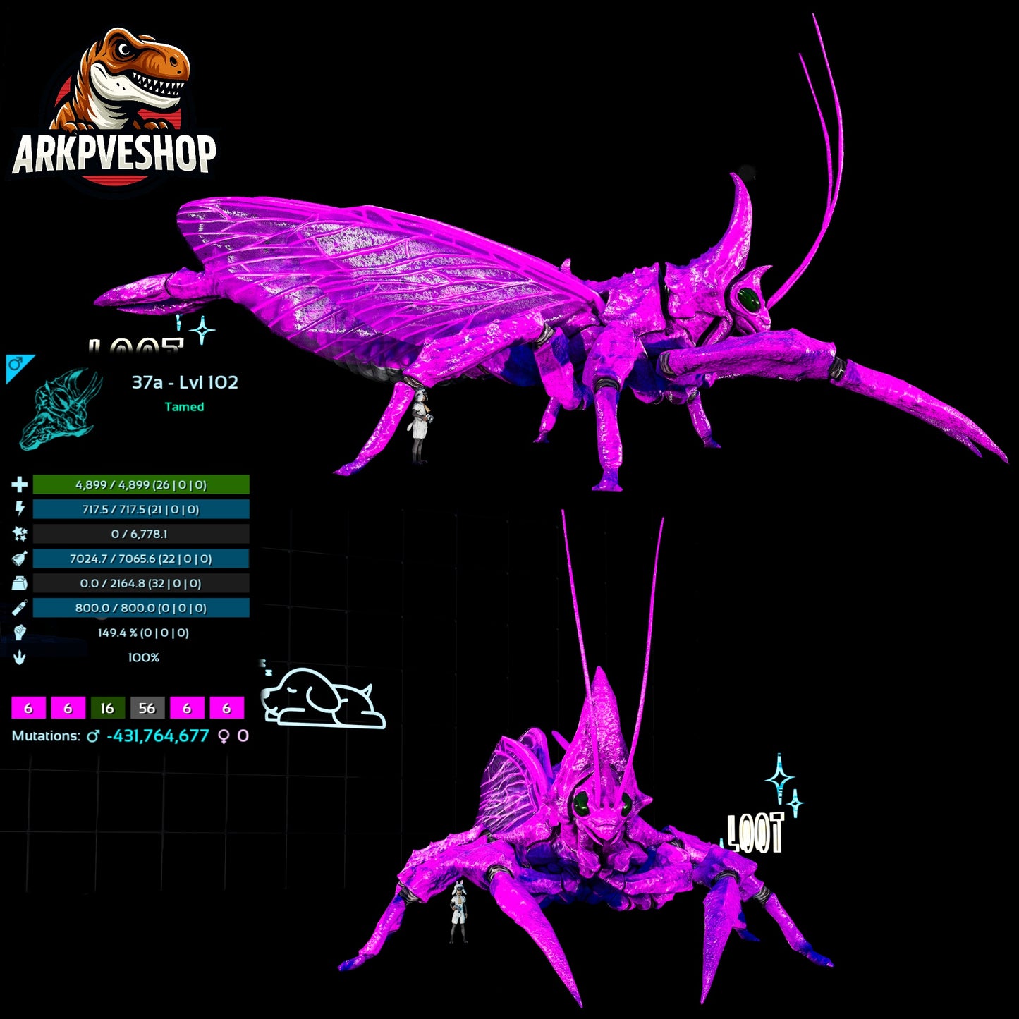 Rhyniognatha Rhynio High&Low Lvls