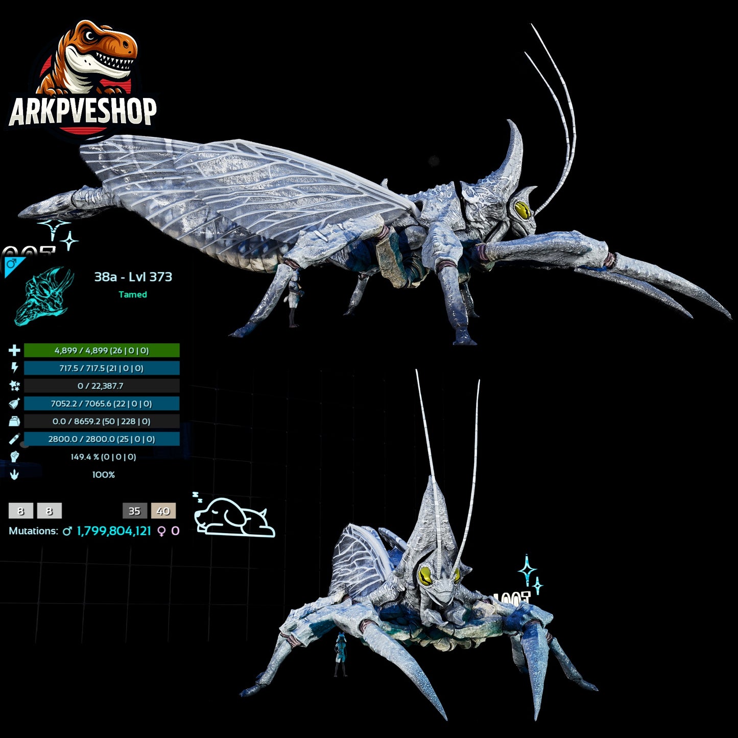 Rhyniognatha Rhynio High&Low Lvls