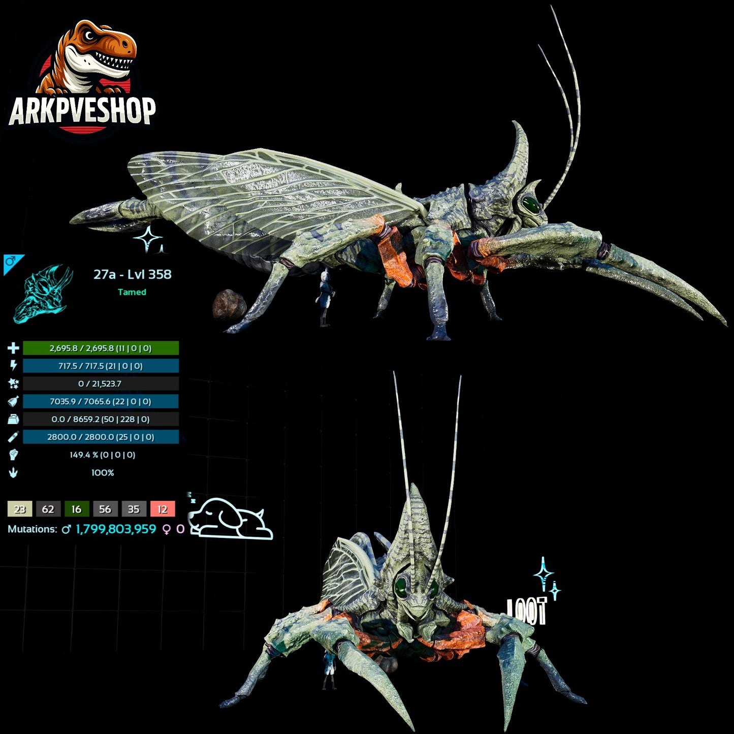 Rhyniognatha Rhynio High&Low Lvls