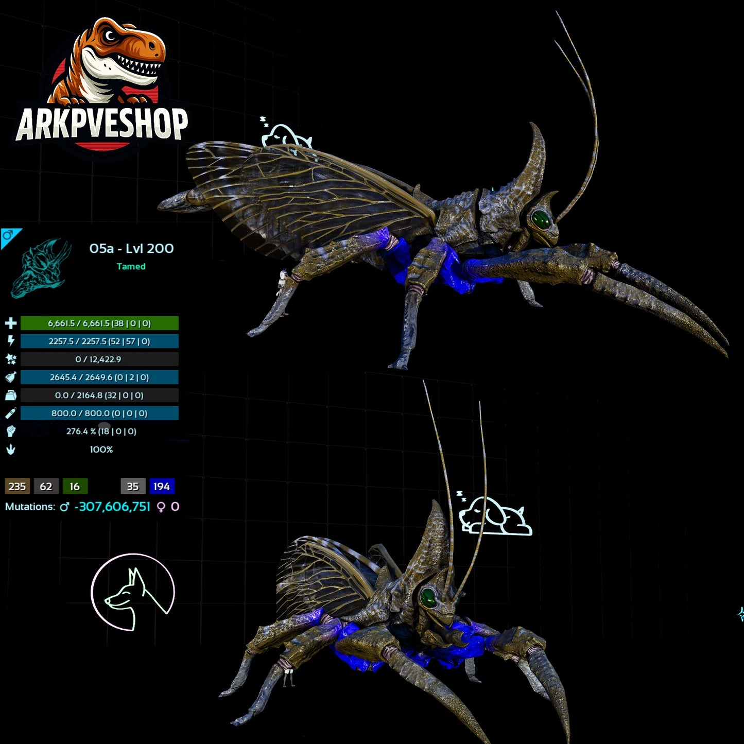 Rhyniognatha Rhynio High&Low Lvls