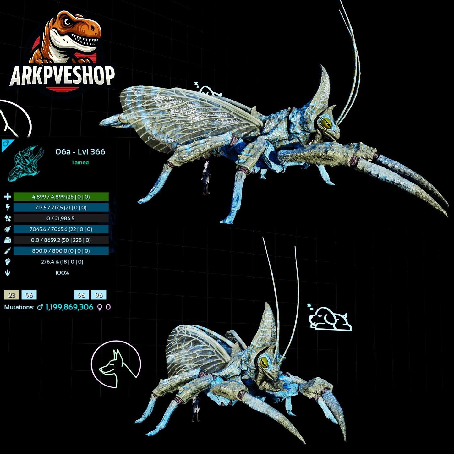 Rhyniognatha Rhynio High&Low Lvls