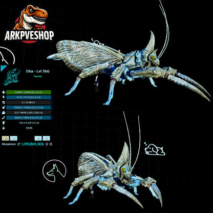 Rhyniognatha Rhynio High&Low Lvls