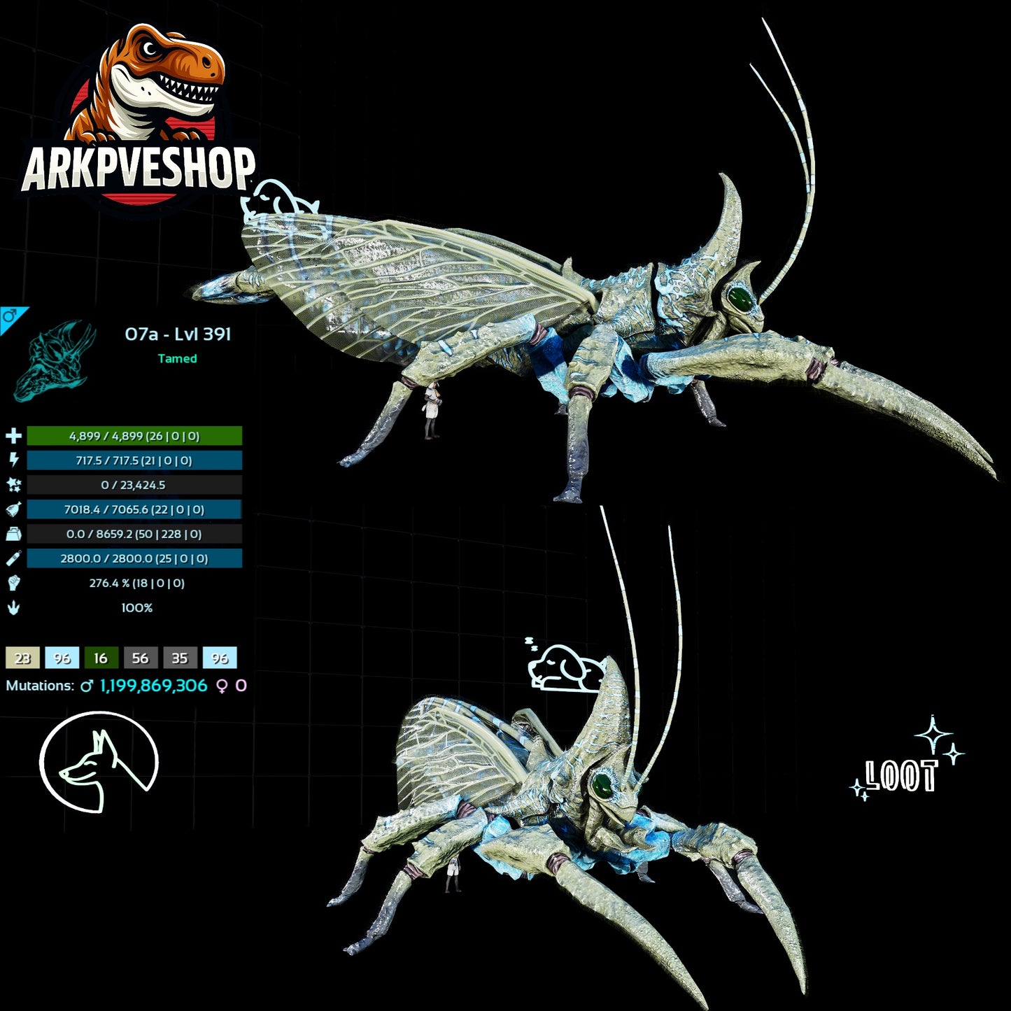 Rhyniognatha Rhynio High&Low Lvls