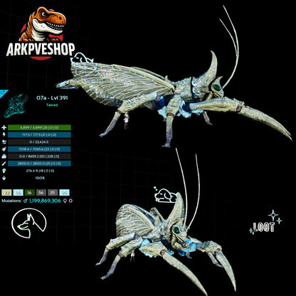 Rhyniognatha Rhynio High&Low Lvls