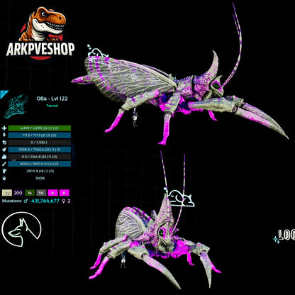 Rhyniognatha Rhynio High&Low Lvls