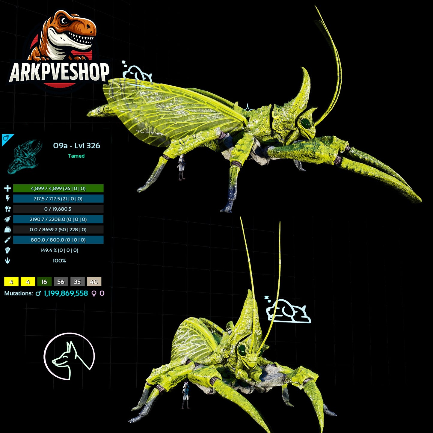 Rhyniognatha Rhynio High&Low Lvls
