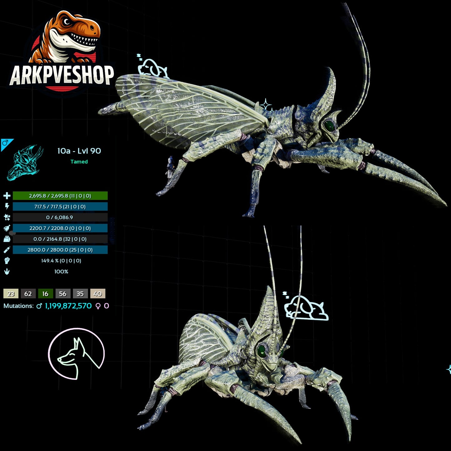 Rhyniognatha Rhynio High&Low Lvls