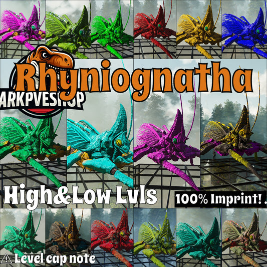 Rhyniognatha Rhynio High&Low Lvls