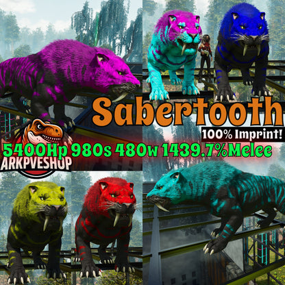 Sabertooth Mixed Colours