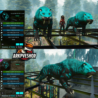 Sabertooth Mixed Colours