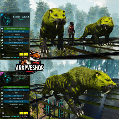 Sabertooth Mixed Colours