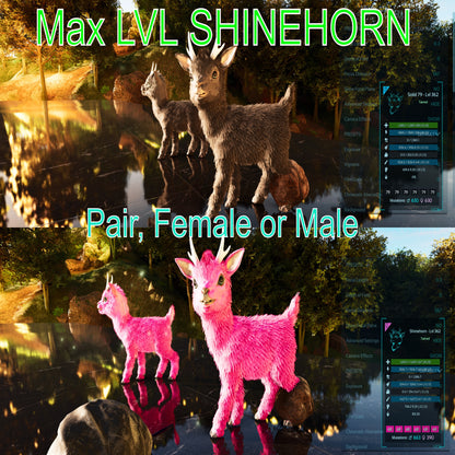 Shinehorn Max Level 362