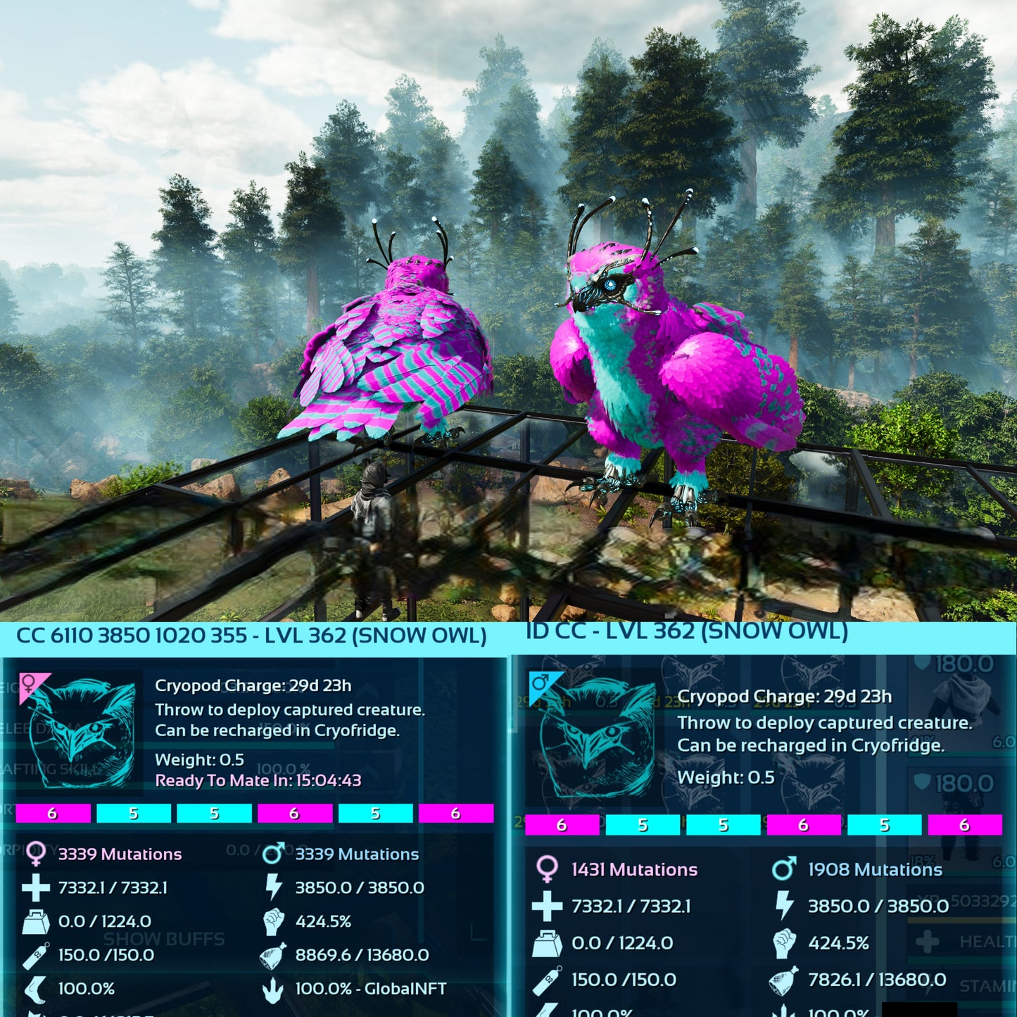Snow Owl Max Level 362 / Solids / TOP STATS
