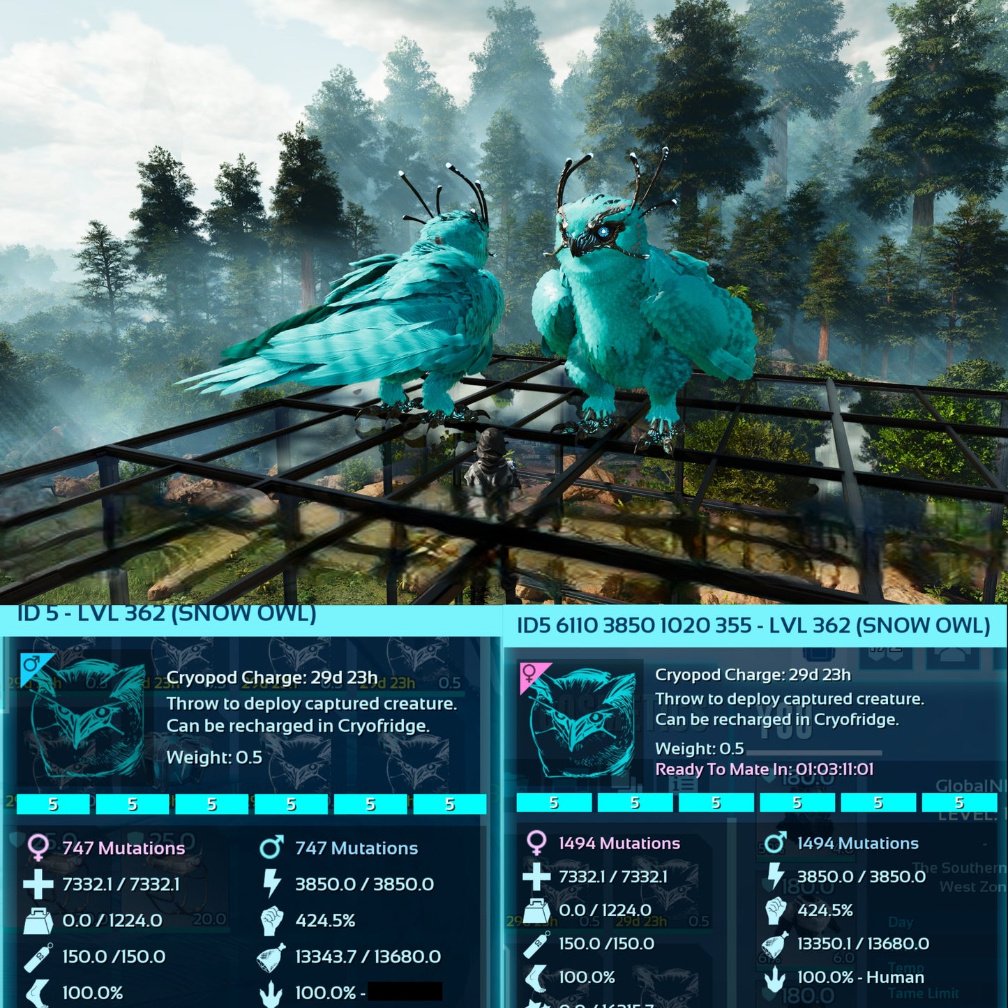 Snow Owl Max Level 362 / Solids / TOP STATS