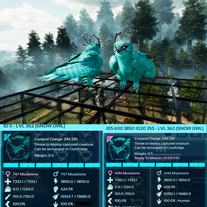 Snow Owl Max Level 362 / Solids / TOP STATS