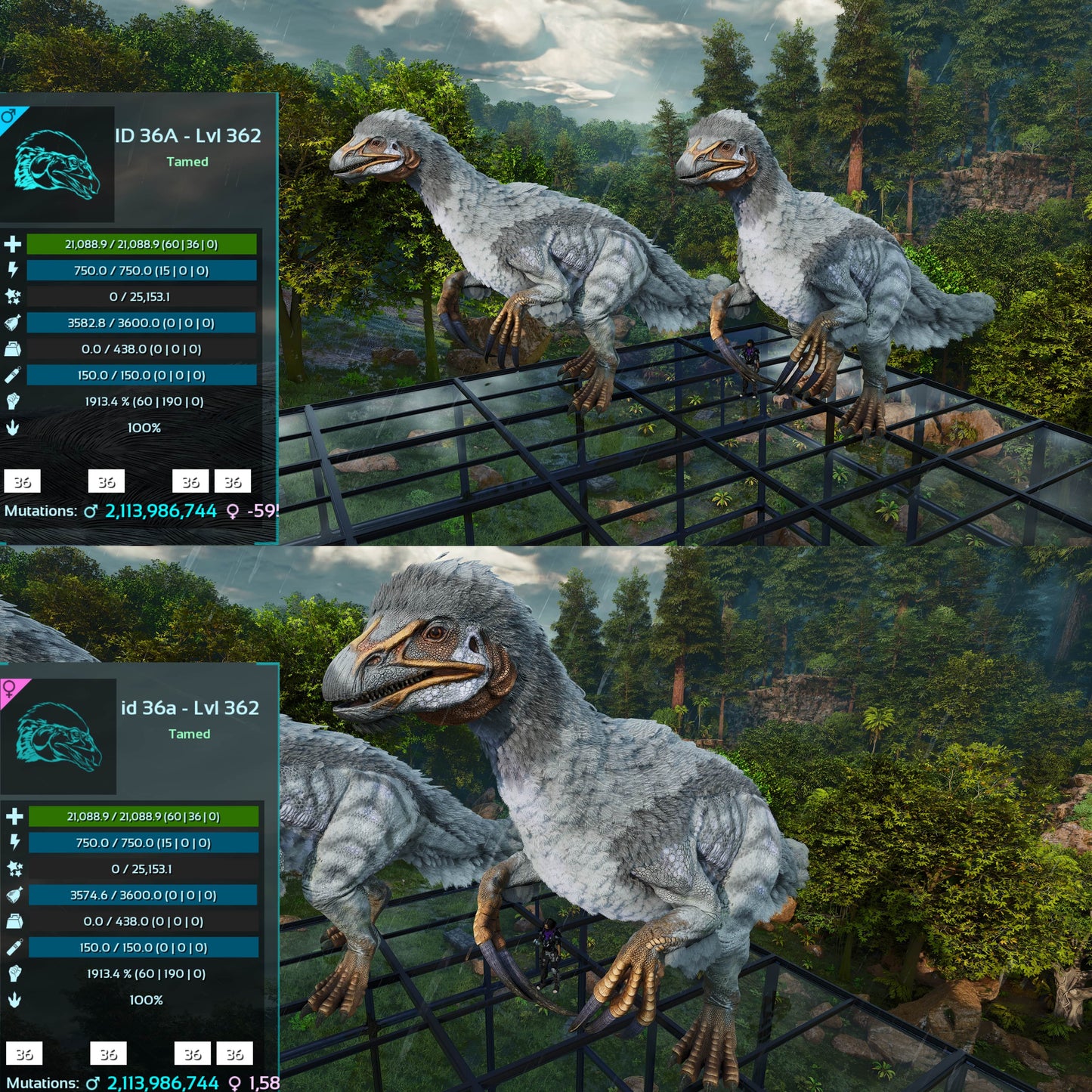 Therizinosaurus / Theri 1913Melee Imprinted