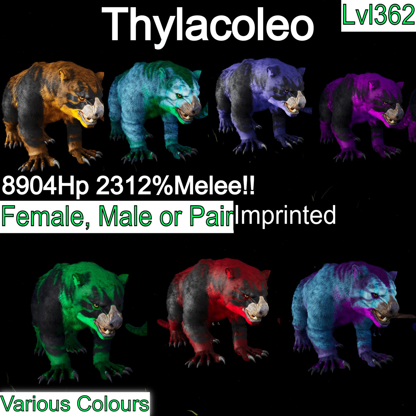 Thylacoleo / Thyla 2312%Melee Imprinted
