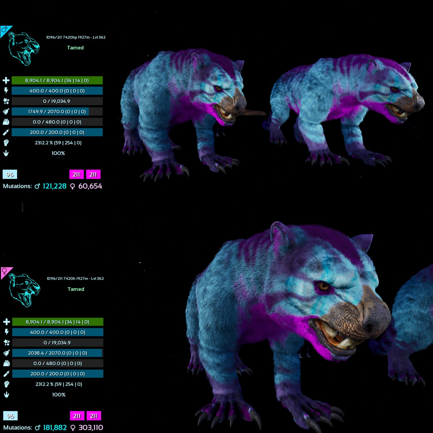 Thylacoleo / Thyla 2312%Melee Imprinted