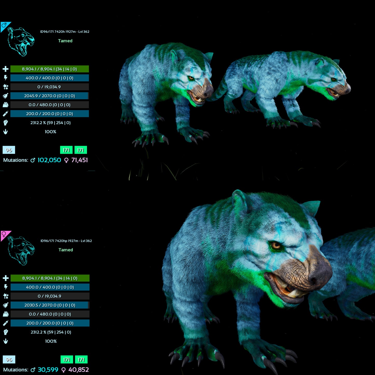 Thylacoleo / Thyla 2312%Melee Imprinted