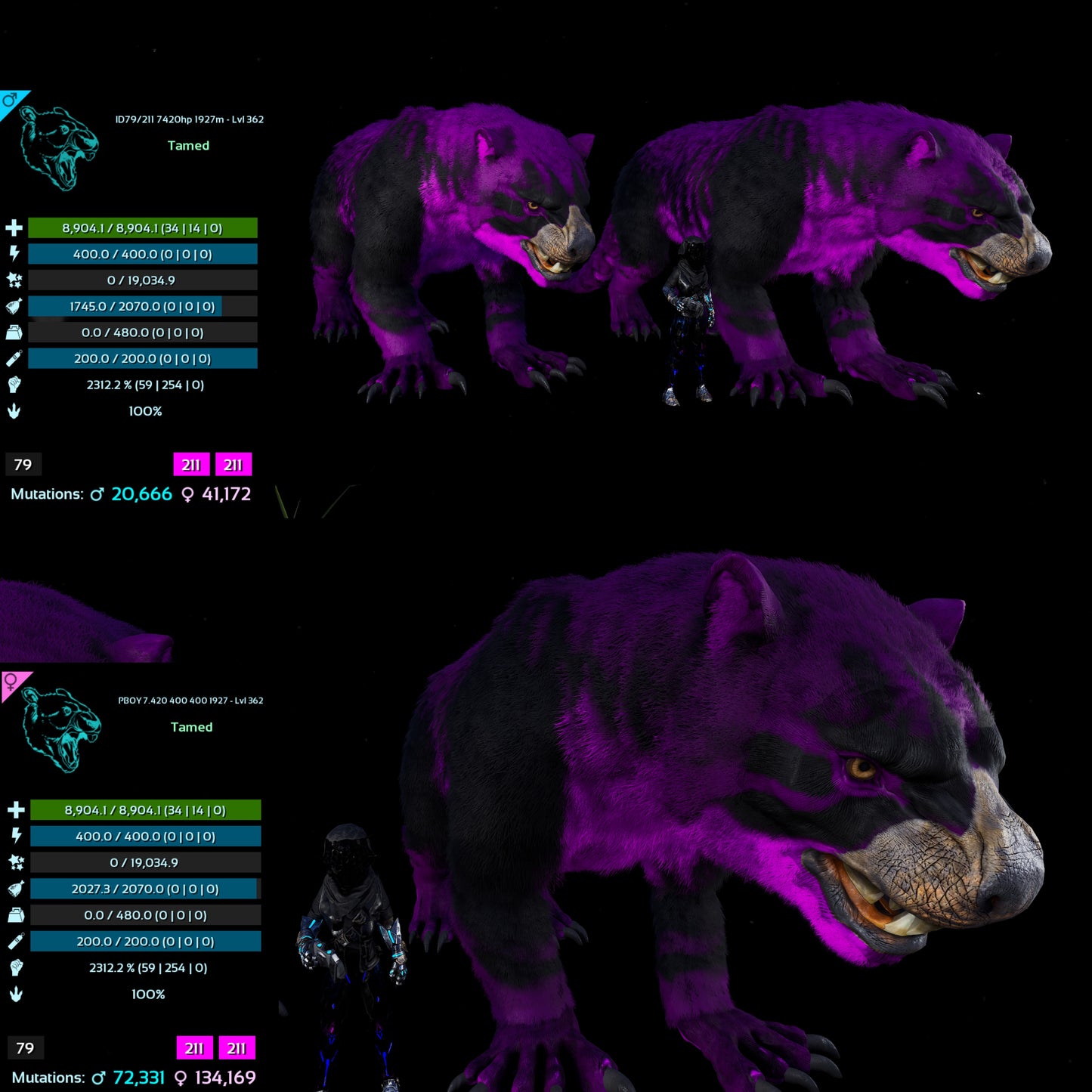 Thylacoleo / Thyla 2312%Melee Imprinted