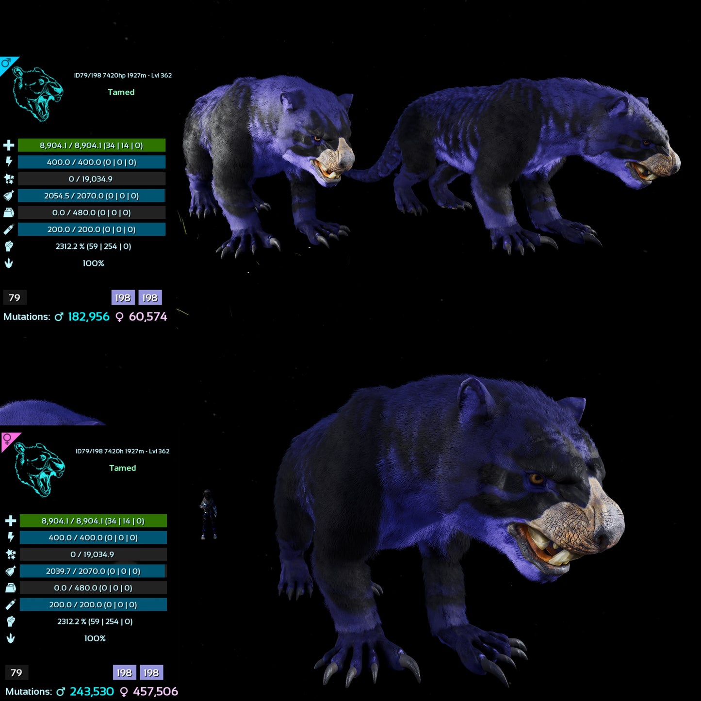 Thylacoleo / Thyla 2312%Melee Imprinted