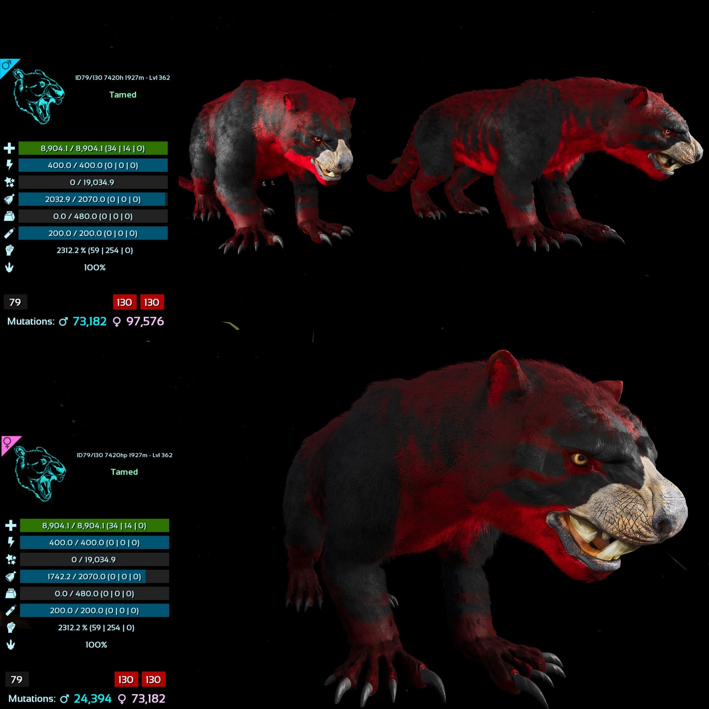 Thylacoleo / Thyla 2312%Melee Imprinted