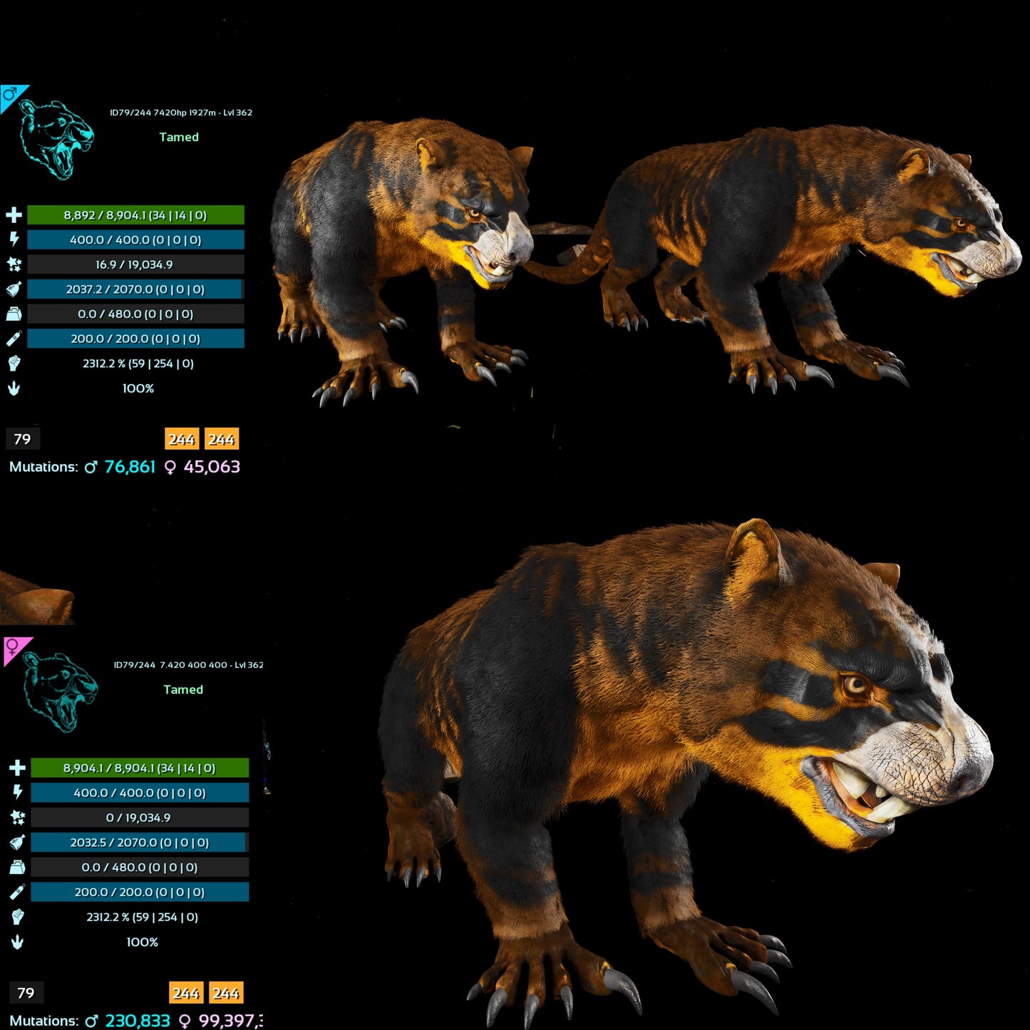 Thylacoleo / Thyla 2312%Melee Imprinted