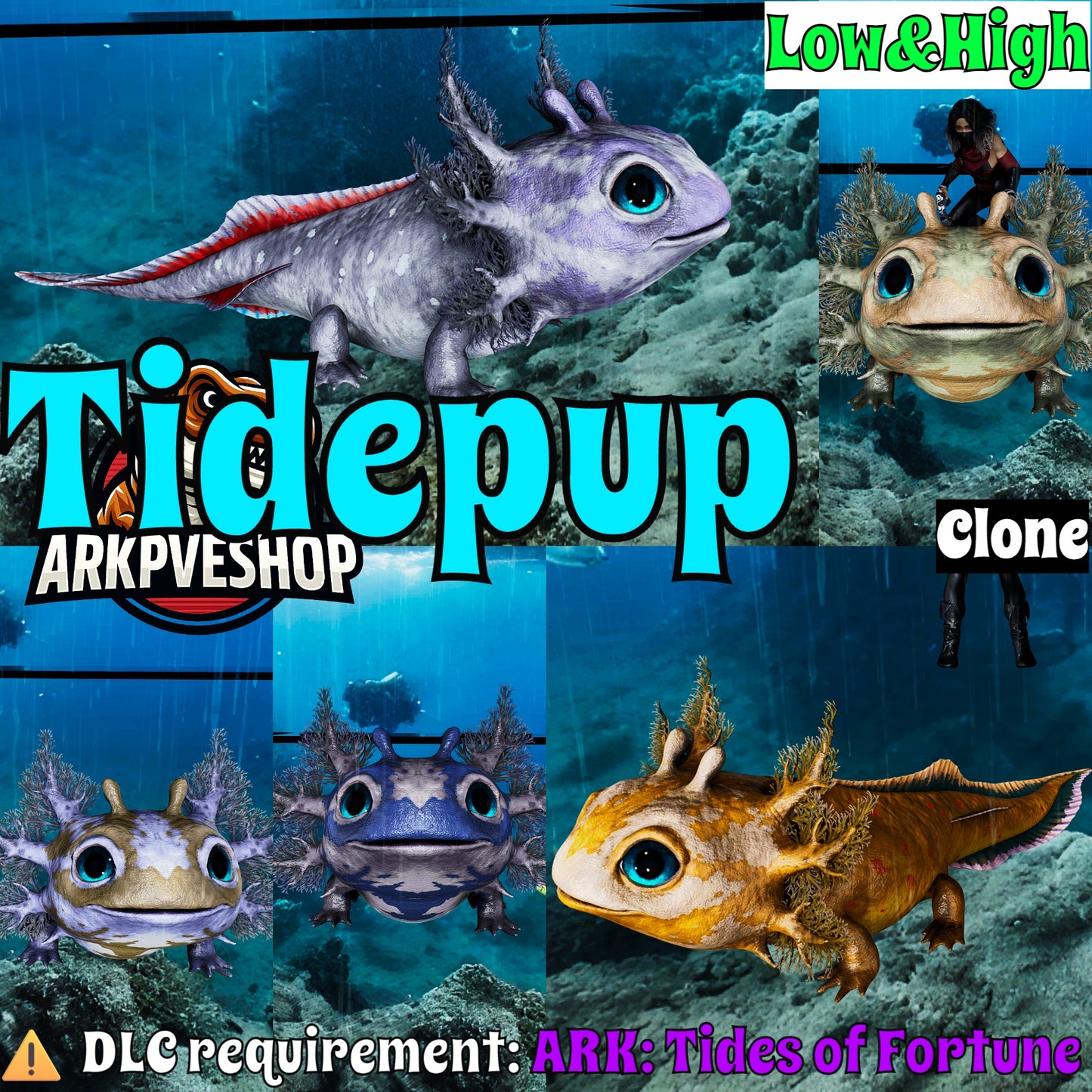 Tidepup clone High Low Lvls Genesis