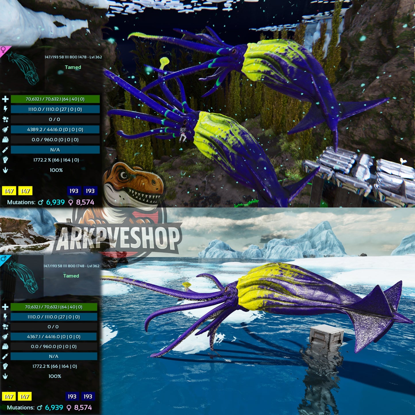 Tusoteuthis 1772%Melee Imprinted
