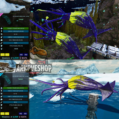 Tusoteuthis 1772%Melee Imprinted
