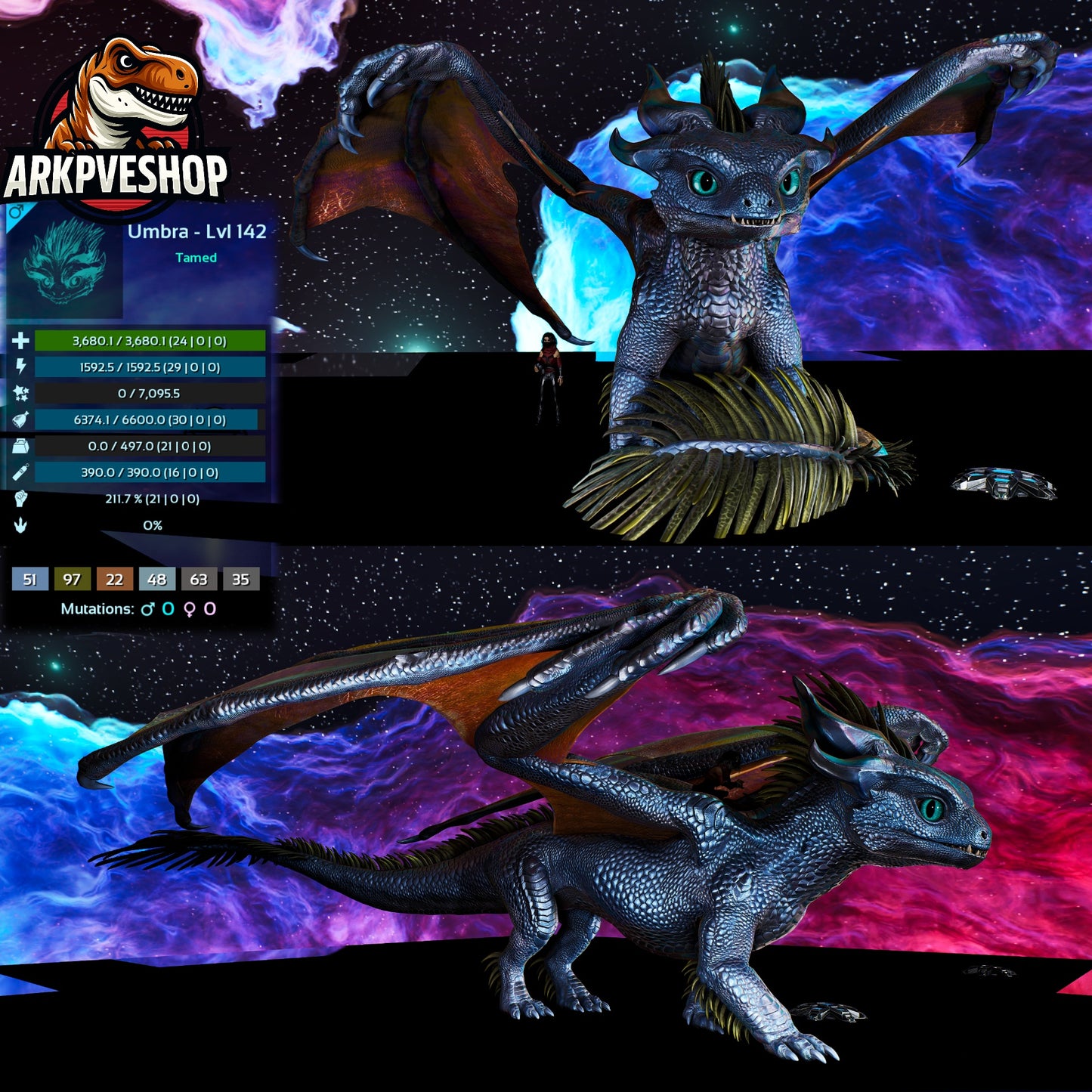 Umbra / Dragontopia Dragon
