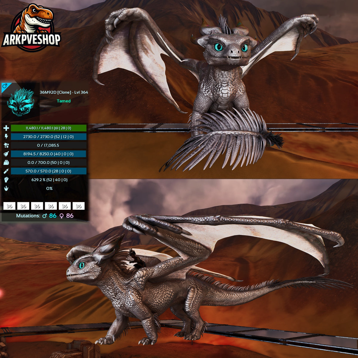 Umbra / Lumina Lvl 362+