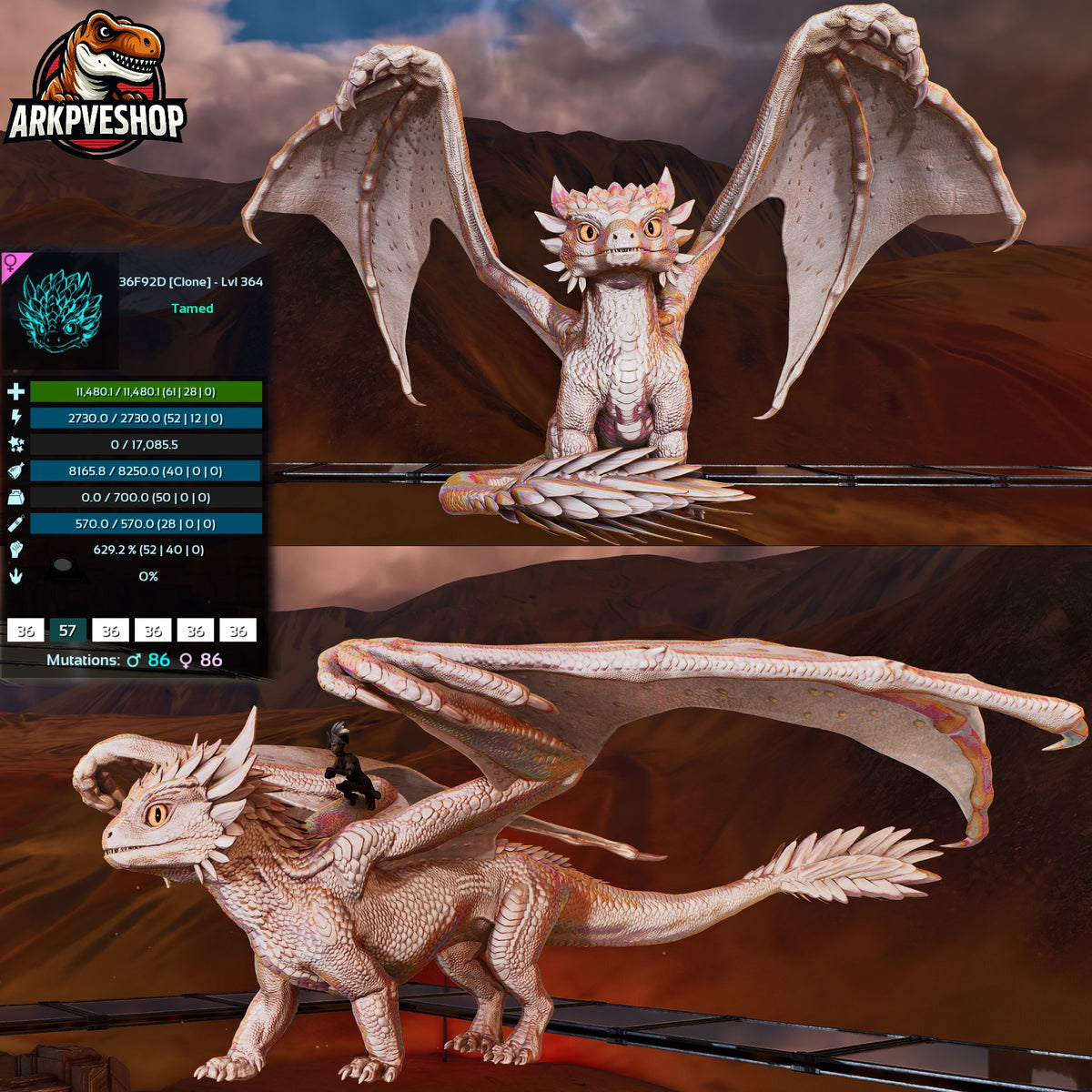 Umbra / Lumina Lvl 362+