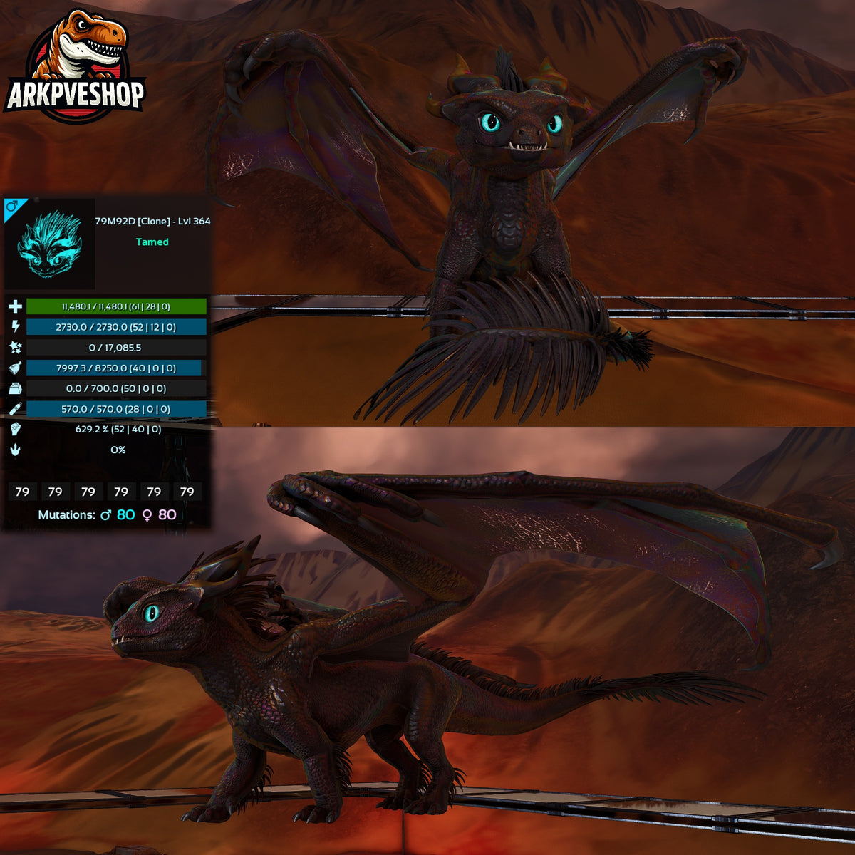 Umbra / Lumina Lvl 362+