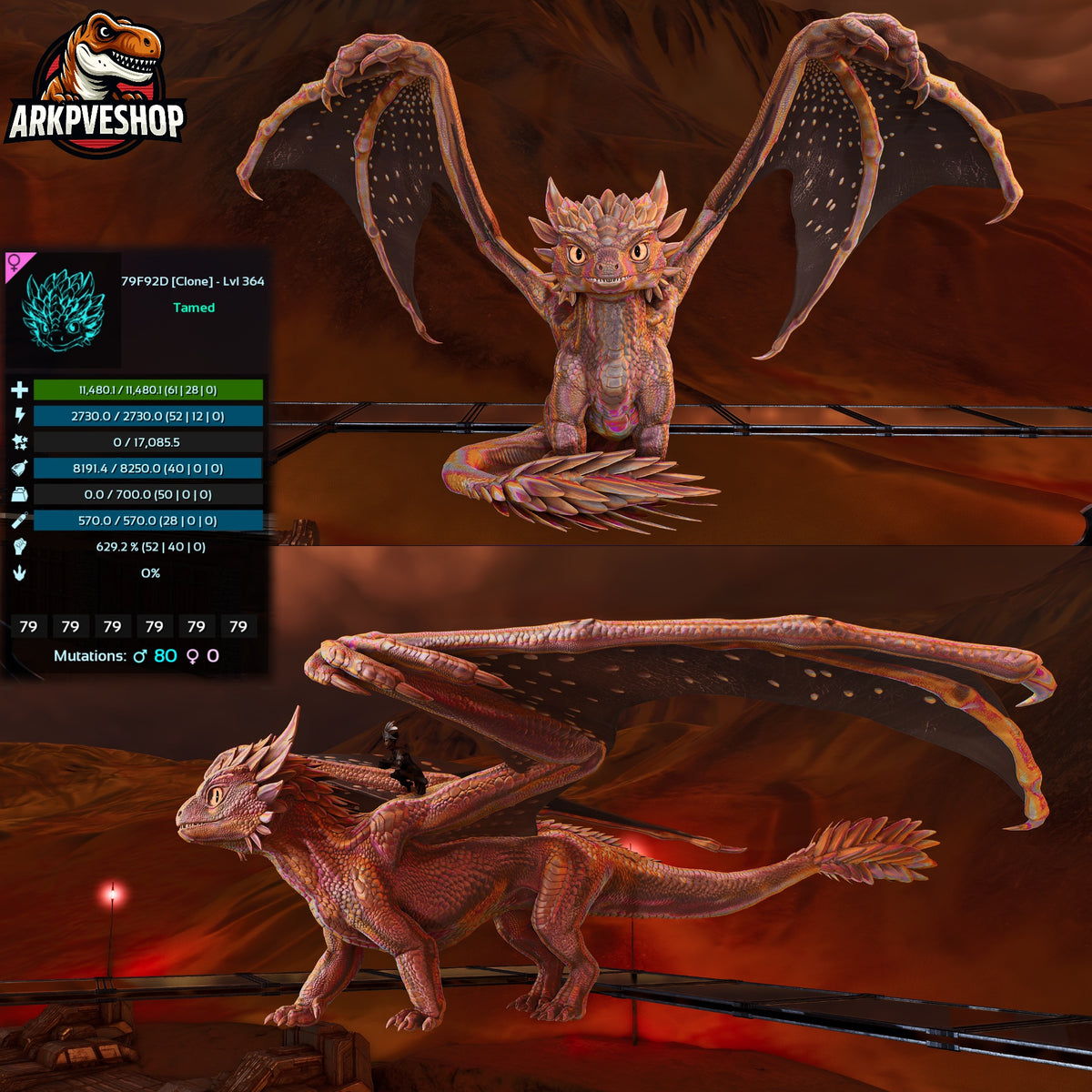 Umbra / Lumina Lvl 362+